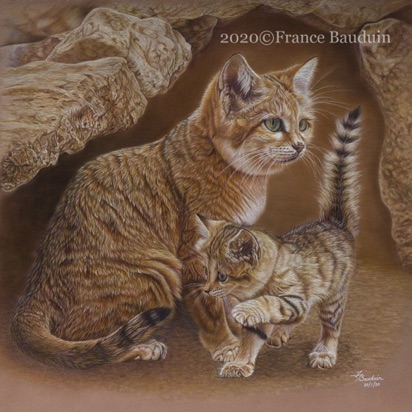 Best Playmate - 93.6 hours
Brown Pastelmat Board
19" x 19"
Ref: Anne Noël